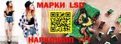 дмт Брянск