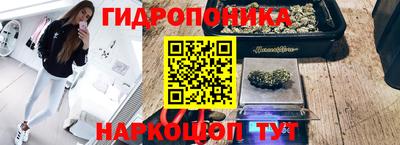 альфа пвп Владикавказ