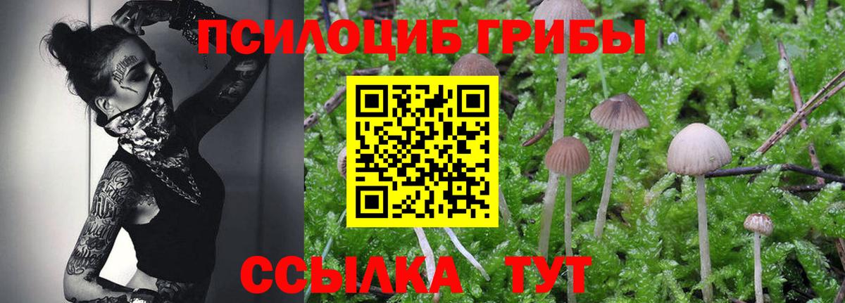 Галлюциногенные грибы GOLDEN TEACHER Сухой Лог
