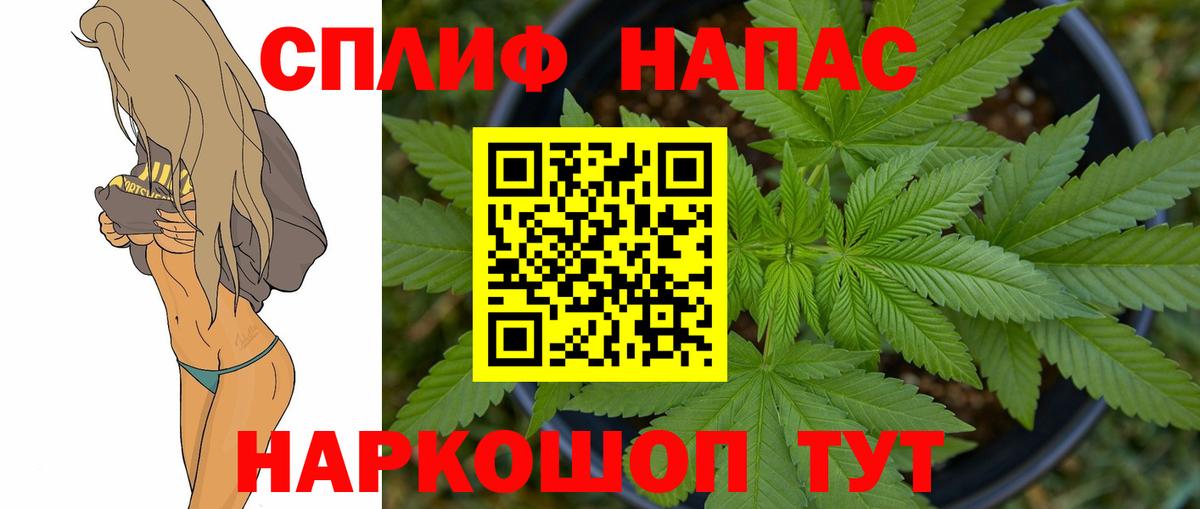 Конопля сатива Сухой Лог