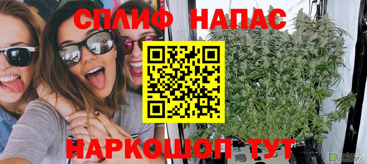Конопля SATIVA & INDICA  Вход с VPN  Сухой Лог  МАРИХУАНА марихуана  Бошки Шишки тримм 